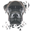 Boxer in Polygon-Art
