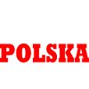 Team polska