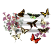 Butterflys