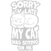 désolé chat était assis