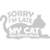 désolé chat était assis