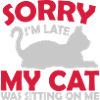 désolé chat était assis