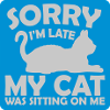 sorry cat was sitting