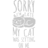 désolé chat était assis