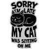 sorry cat was sitting