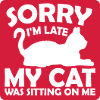 désolé chat était assis