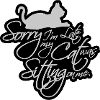 sorry cat was sitting