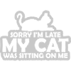 désolé chat était assis