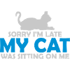 sorry cat was sitting