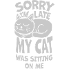 sorry cat was sitting