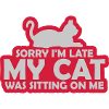 désolé chat était assis