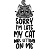 désolé chat était assis