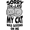 sorry cat was sitting
