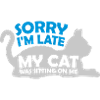 désolé chat était assis