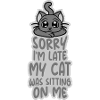 désolé chat était assis