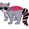 Willy der Waschbär