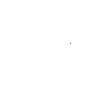 Whale