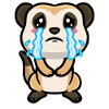 Meerkats Animal lovers Meerkat lovers