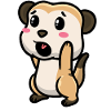 Meerkats Animal lovers Meerkat lovers