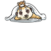 Suricates Sleeping Nap