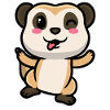 Meerkats Animal lovers Meerkat lovers
