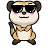 Meerkats Animal lovers Meerkat lovers