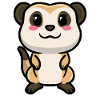 Meerkats Animal lovers Meerkat lovers