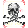 Dia de los Muertos