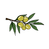 The Olive Theory