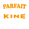 Je Ne Suis Pas Parfait Mais Je Suis KINE