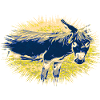 Donkey