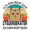 Steuerberater