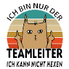 Teamleiter