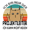 Projektleiter