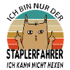Staplerfahrer Gabelstaplerfahrer Lagerarbeiter