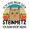 Steinmetz