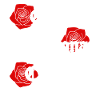 Chula Chingona Cabrona Mexicana
