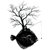 Arbre graphique - Plie de poisson