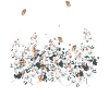 Spread Kindness Like Wildflowers