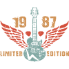 Guitar Lovers Guitarist Guitar 1987