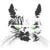 CAT with green eyes