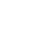 Frog Amphibians