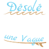 Texte Surfeur Fr