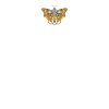 Cyborg Butterfly Cyber Esthétique