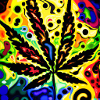 Psychedelic Cannabis