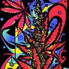 Psychedelic Cannabis II