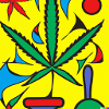 MoJamba111
