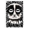Perched cat 002