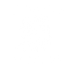 Bernese mountain dog - party squad