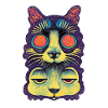 Chat Perché 005